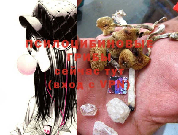 винт Слюдянка